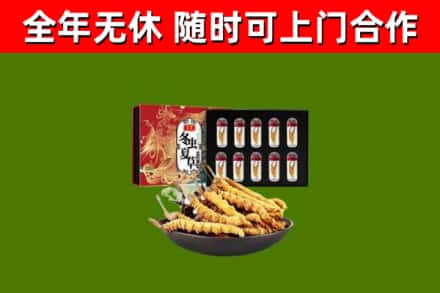 庐山回收冬虫夏草价格