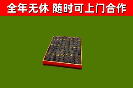 庐山回收海参